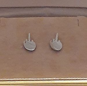 Middle Finger Stud Earrings